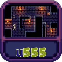 u555